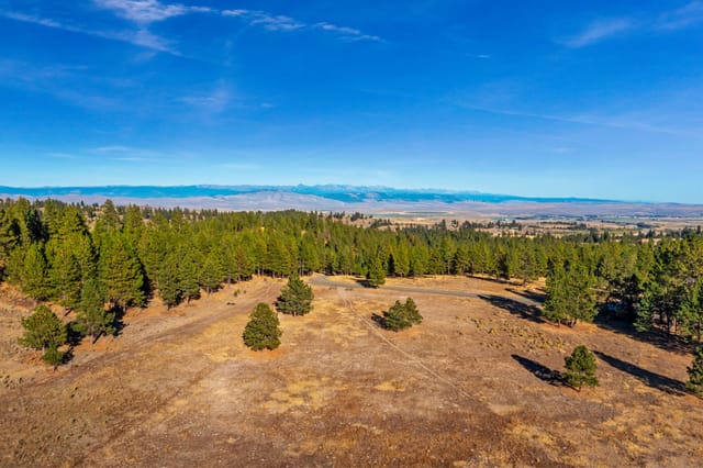 Wolf Creek Lane detail